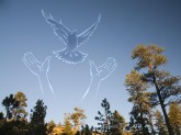 Arms%20Reaching%20for%20Bird