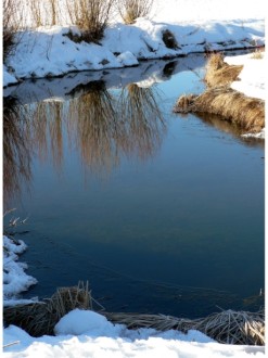 Winter River with Reflection