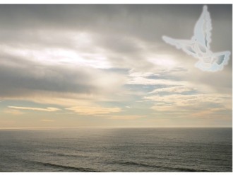 White%20Dove%20Flying%20over%20Ocean