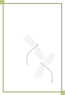 Two%20Dragonflies