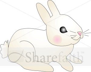 Baby Bunny with Pink Cheeks