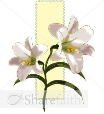 Lilies for Easter Decorations