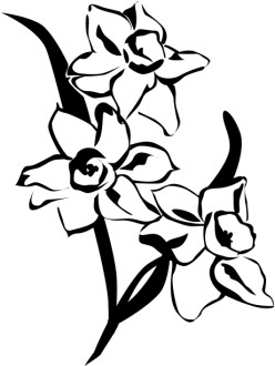 Spring%20Daffodils%20%20Black%20and%20White