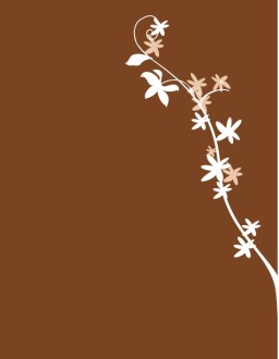 White%20Flowers%20on%20Brown