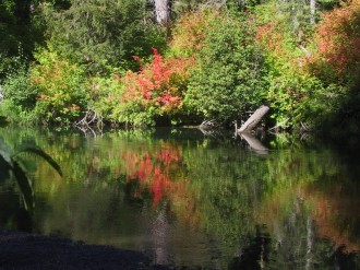 Still River in Spring