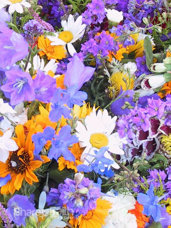 Colorful%20Spring%20Flowers%20Image