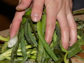 Handfuls of Green Onions
