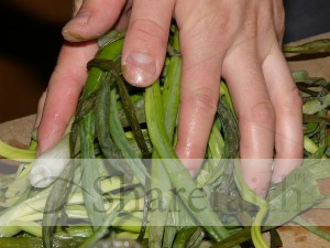 Handfuls%20of%20Green%20Onions