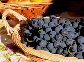 Basket%20of%20Purple%20Grapes