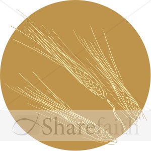 Brown%20Circle%20with%20Golden%20Wheat