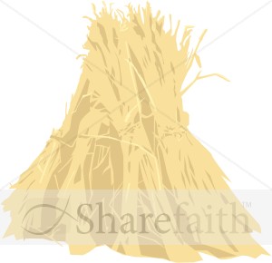 Sheaf of Wheat