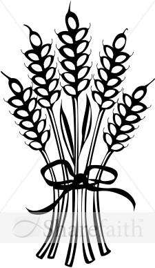 Wheat%20Tied%20with%20Ribbon