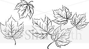 Black and White Maple Leaf Cluster