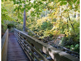 Footbridge%20in%20Fall