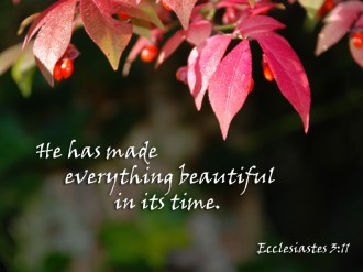 Pink Leaves and Red Berries with Ecclesiastes Verse