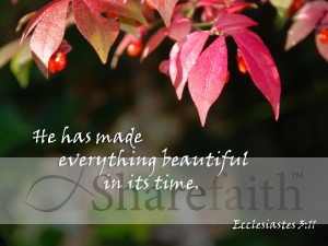 Pink%20Leaves%20and%20Red%20Berries%20with%20Ecclesiastes%20Verse