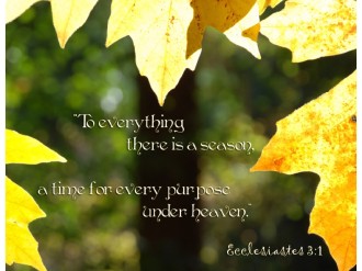 Yellow%20Fall%20Leaves%20with%20Ecclesiastes%20Verse