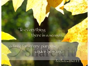 Yellow%20Fall%20Leaves%20with%20Ecclesiastes%20Verse