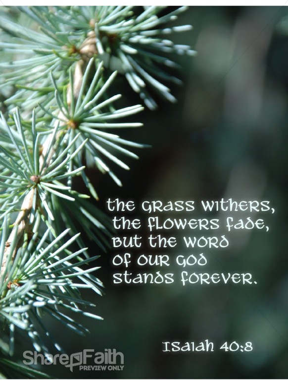 Pine%20Needles%20with%20Isaiah%20Verse