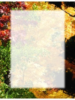 Multi%20Colored%20Trees%20with%20Text%20Box