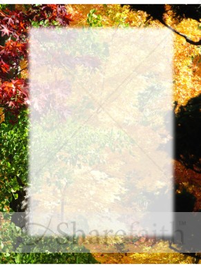 Multi%20Colored%20Trees%20with%20Text%20Box