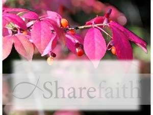 Pink%20Leaves%20with%20Text%20Box