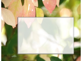 Pretty%20Leaves%20with%20Text%20Box