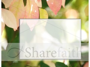 Pretty%20Leaves%20with%20Text%20Box