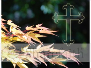 Fall Leaves Extended with Cross