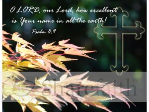 Reaching Fall Leaves with Fleur de Lis Cross and Psalms