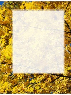 Bright%20Yellow%20Fall%20Leaves%20with%20Text%20Box