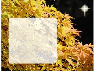 Yellow Fall Leaves with Cross and Text Box