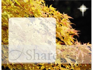 Yellow Fall Leaves with Cross and Text Box