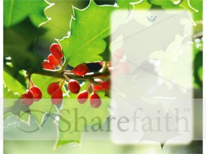 Holly,%20Berries%20and%20Text%20Box