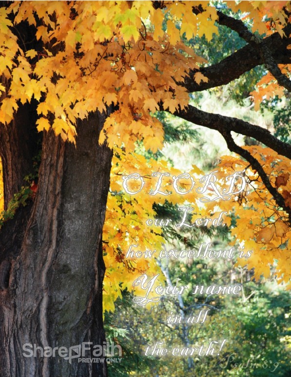 Maple Tree in Fall with Psalm 8 Verse