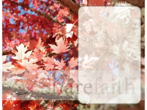 Fiery Red Leaves with Text Box