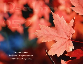 Single%20Red%20Maple%20Leaf%20with%20Psalm