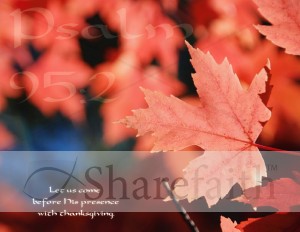 Single Red Maple Leaf with Psalm