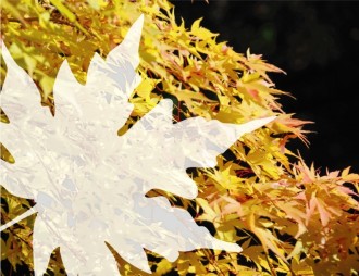 Yellow%20Fall%20Leaves%20with%20Text%20Overlay