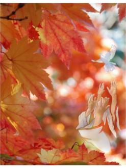 Orange and Red Maple Leaves with Dove