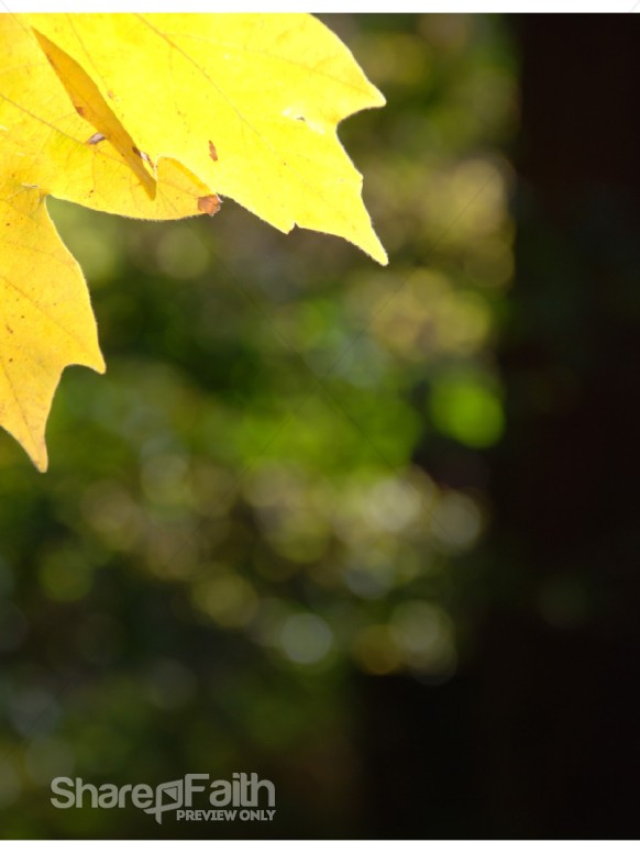 Corner%20Fall%20Leaf%20in%20Portrait