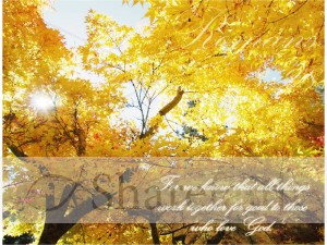 Autumn%20Maple%20with%20Romans%20Verse