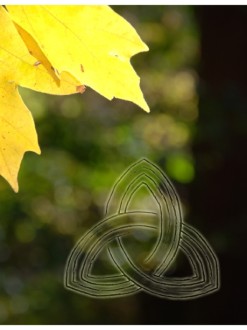 Bright%20Yellow%20Leaf%20and%20Trinity