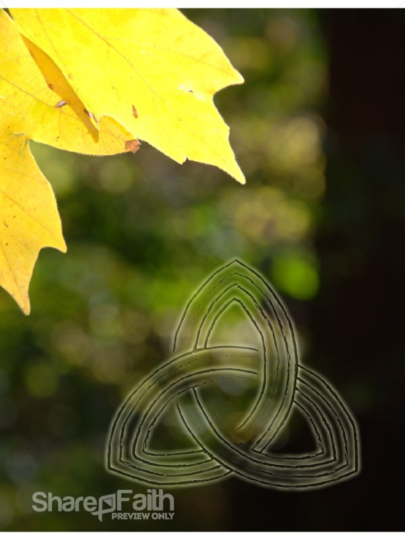 Bright Yellow Leaf and Trinity