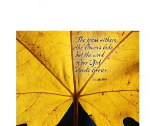 Yellow%20Fall%20Leaf%20with%20Isaiah%2040:8