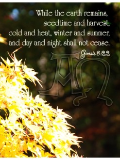 Bright Yellow Leaves with Genesis 8:22
