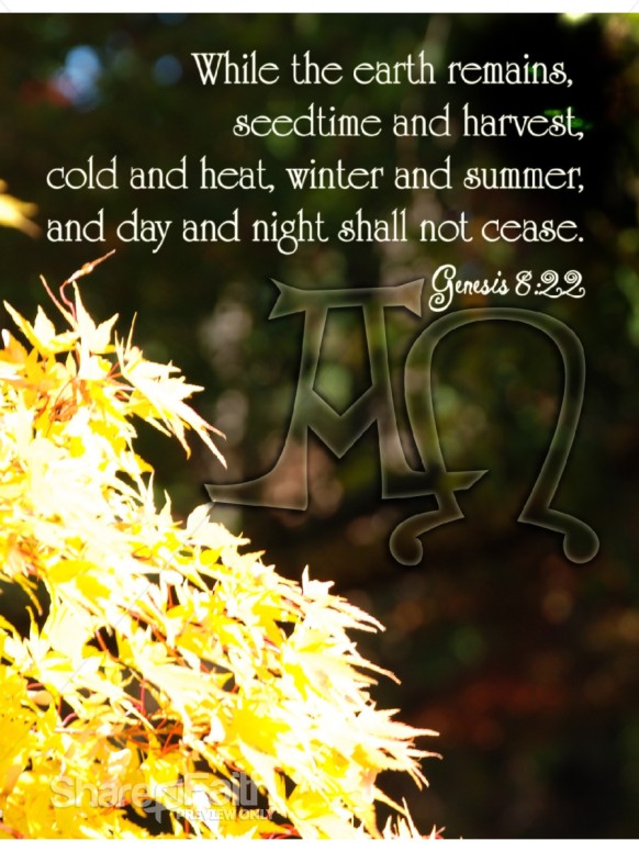 Bright Yellow Leaves with Genesis 8:22