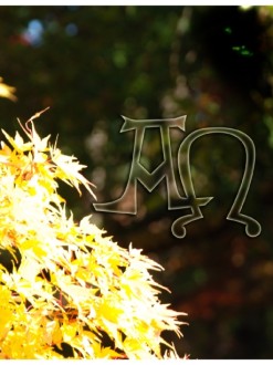 Radiant Fall Leaves with Alpha Omega