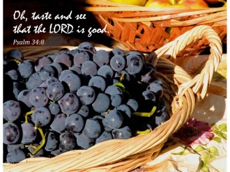 Thanksgiving%20Taste%20and%20See%20with%20Psalm