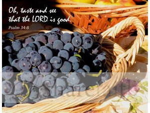 Thanksgiving%20Taste%20and%20See%20with%20Psalm